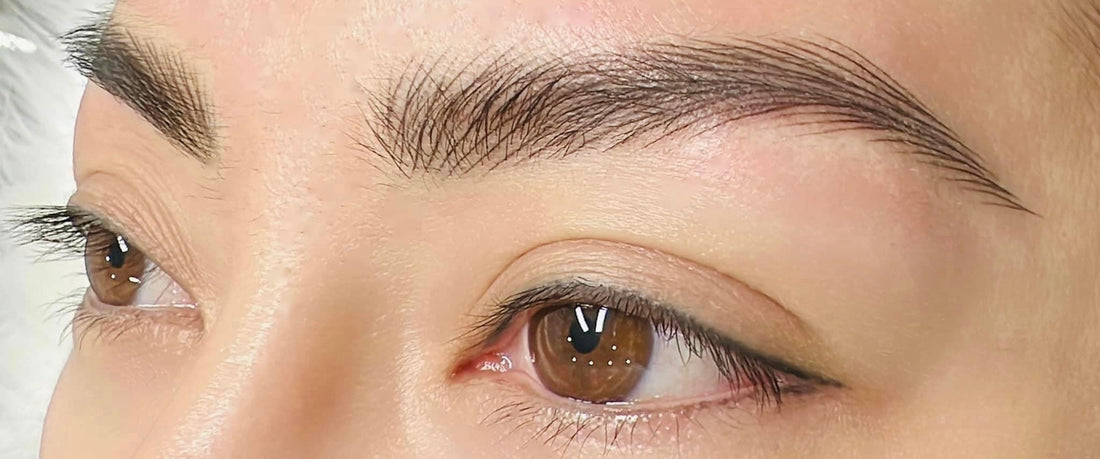 Nano Feather Brows (LATEST TECHNIQUE)